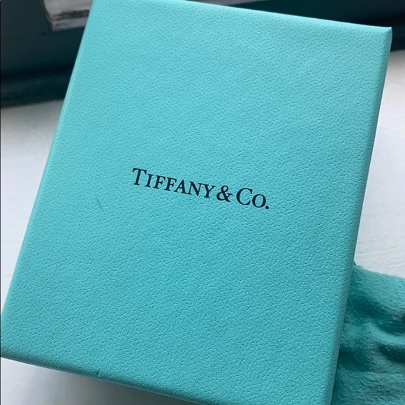 Tiffany & Co. Infinity Necklace on a Double Chain - Picture 5 of 5